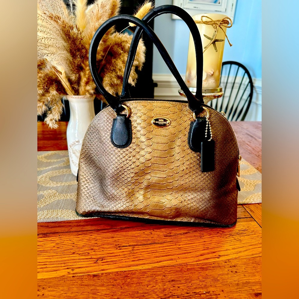 Coach Metallic gold and black purse.